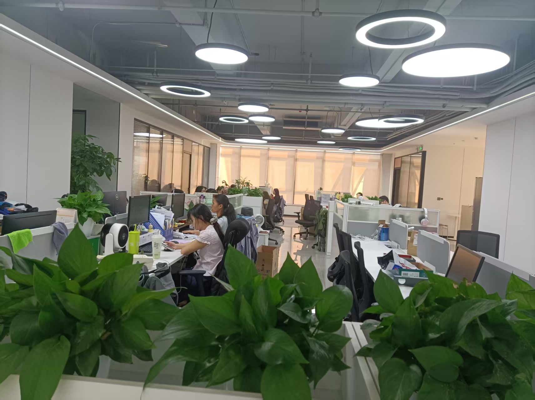 Business Department